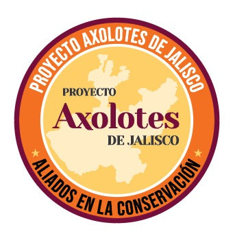 Axolotes varios