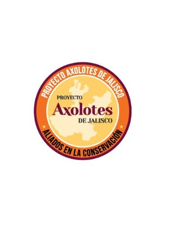 Axolotes