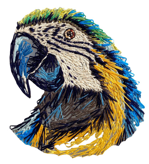 Guacamaya varios