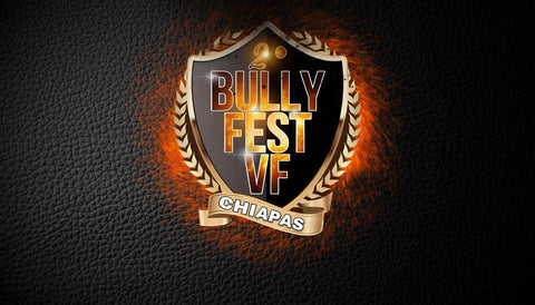Bully Fest 2