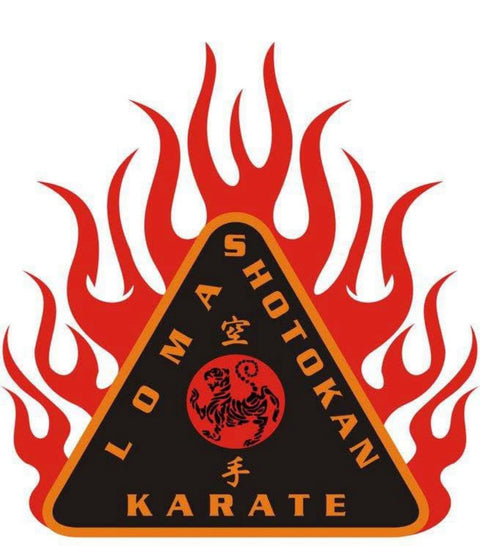 PARCHES - KARATE