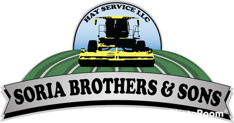brothers &amp; sons