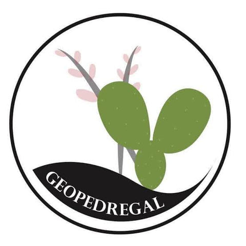 Geopedregal